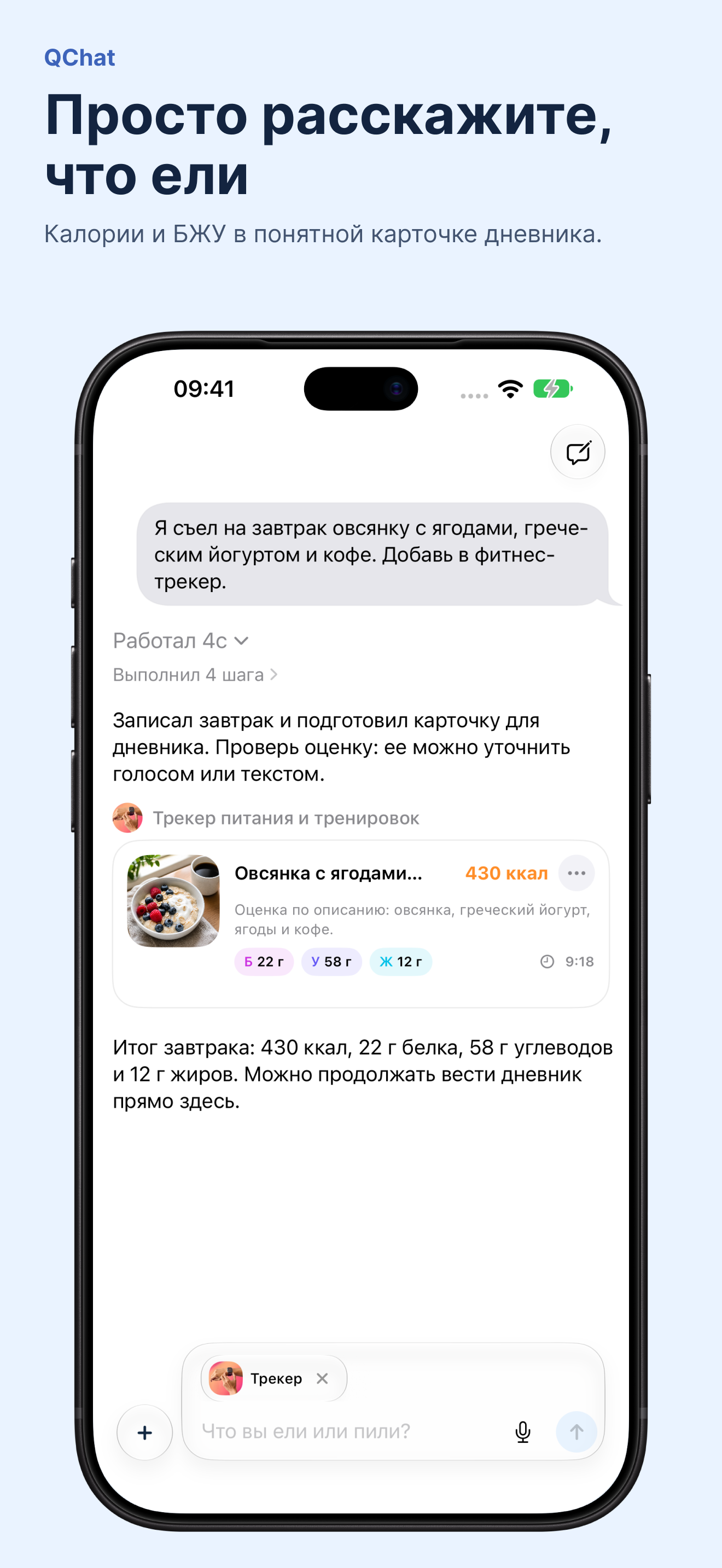 Просто расскажите, что ели · QChat